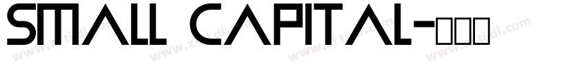 SMALL CAPITAL字体转换